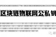 区块链的公钥和私钥是什么 区块链物联网公私钥