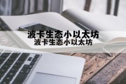波卡 eth20 波卡生态小以太坊