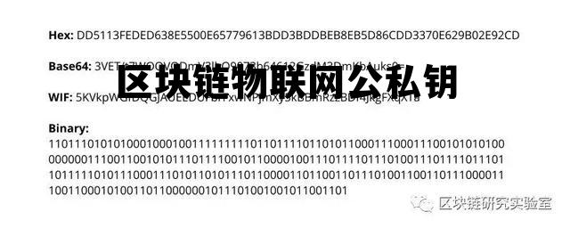 区块链的公钥和私钥是什么 区块链物联网公私钥