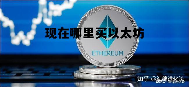 从哪些平台可以买以太坊 现在哪里买以太坊