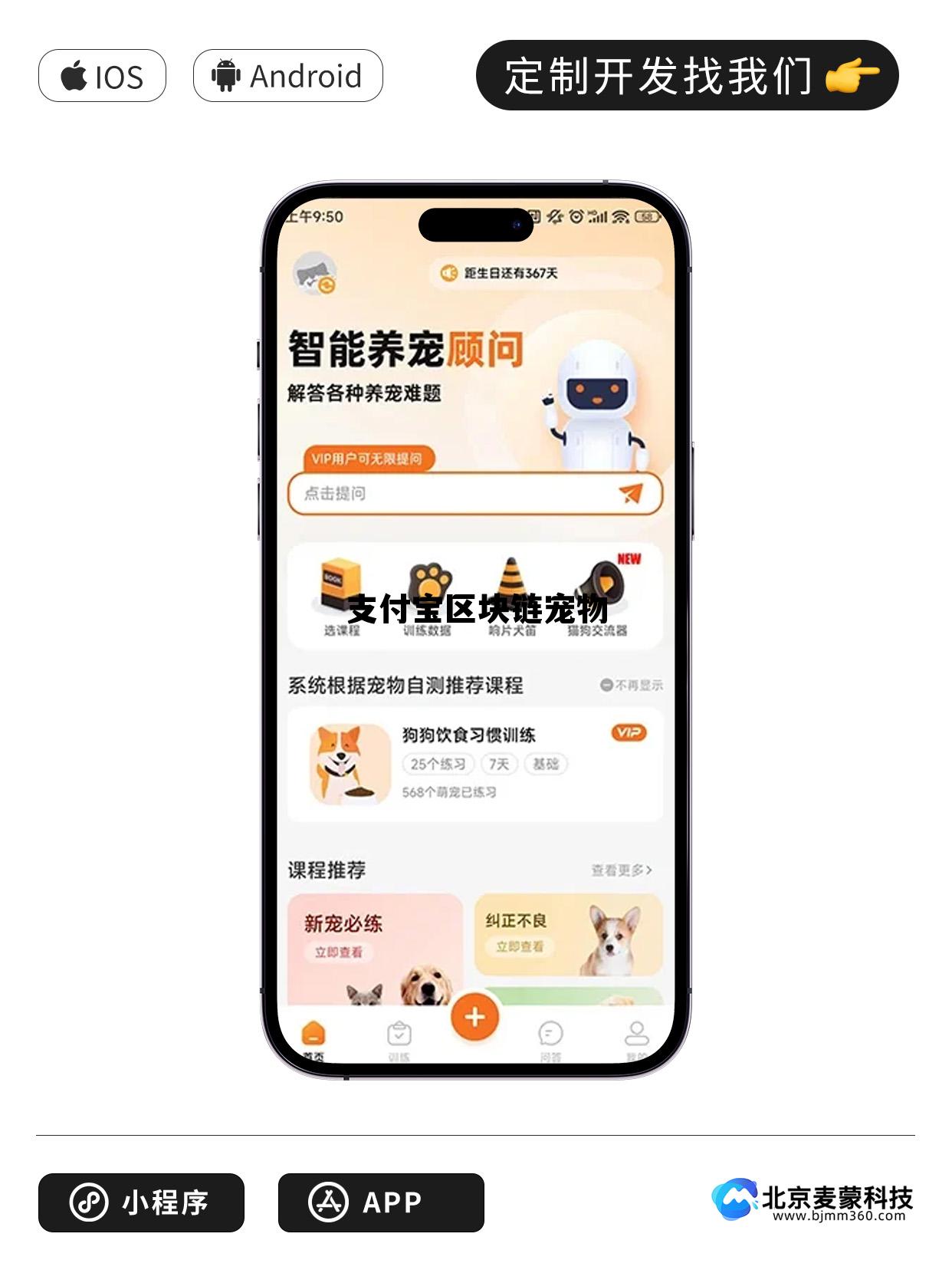区块链宠物可以赚钱吗 支付宝区块链宠物 区块链宠物可以赚钱吗 支付宝区块链宠物