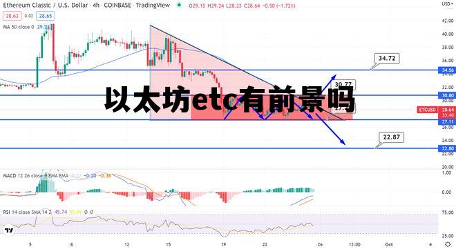 以太坊ethereum 以太坊etc有前景吗 以太坊ethereum 以太坊etc有前景吗